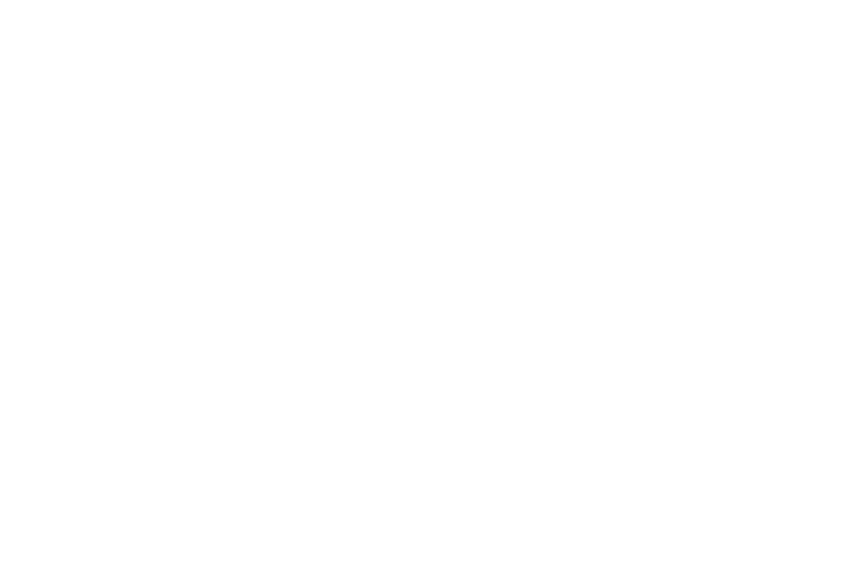 Circufash logotype